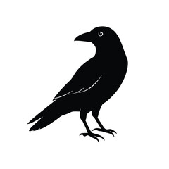 Fototapeta premium a flat crow silhouette vector art illustration, isolated white background,