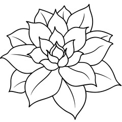 Fototapeta premium hand drawn flower icons outline coloring book page line art drawing