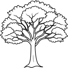 hickory tree outline coloring book page line art drawing