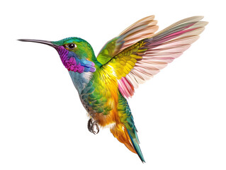 Fototapeta premium Beautiful bright colorful hummingbird in flight. Neural network AI generated art