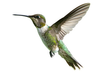 Beautiful bright colorful hummingbird in flight. Neural network AI generated art