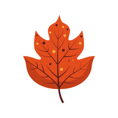 Autumn red leaf. Red foliage is a symbol of fall. Flat  vector illustration  isolated on white background