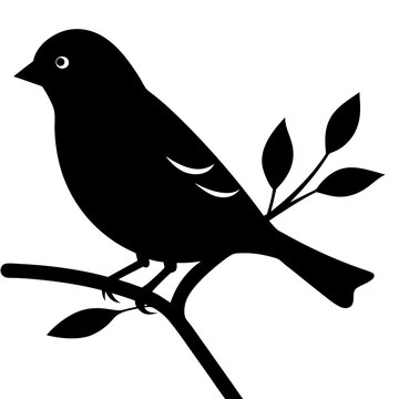 recommend clip art: finch bird silhouette vector black animal birds 