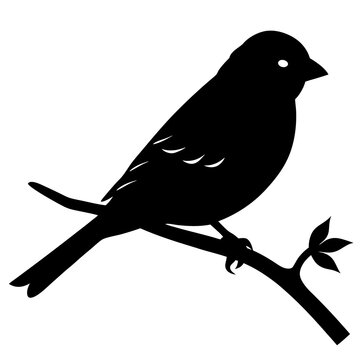 recommend clip art: finch bird silhouette vector black animal birds 
