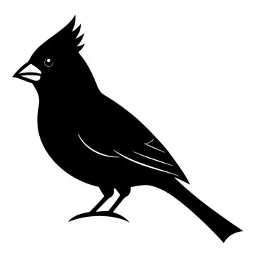 recommend clip art: vector cardinal silhouette animal black bird on white background