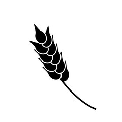 
Illustration depicting a black icon of a spike of wheat on a white background