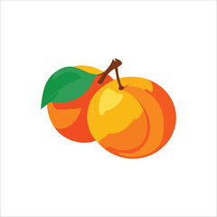 Apricot fruit vitamin A isolated on white background, flat color cartoon style vector design