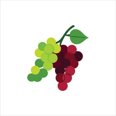 grape fruit vitamin A isolated on white background, flat color cartoon style vector design