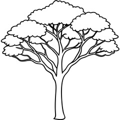 jacaranda tree outline coloring book page line art drawing