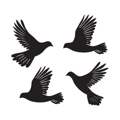 Vector illustration: silhouette of flying birds doves on a white background