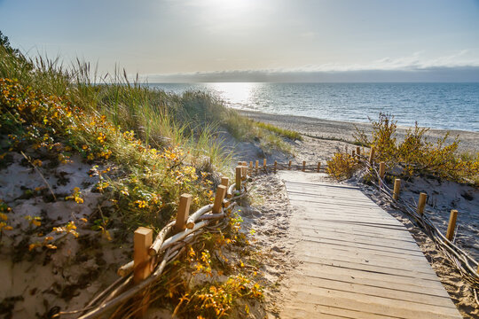 A serene view of Palanga beach in Lithuania, with a wooden boardwalk traversing sandy dunes towards the Baltic sea