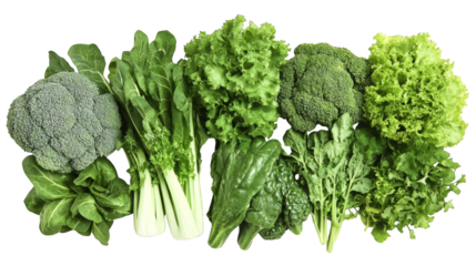 Fresh Green Vegetables Broccoli  Spinach  Lettuce  and Celery