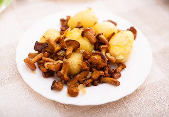 Delicious fried chanterelles with new potatoes on a white plate