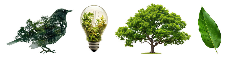 Obraz premium Environment png cut out element set