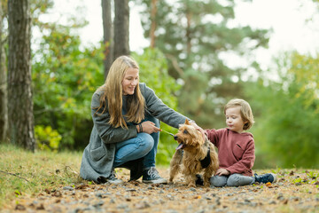Mother and her little son walking their pedigreed Australian terrier dog in late autumn park. Fall portrait of black and sable tan purebred Australian terrier.