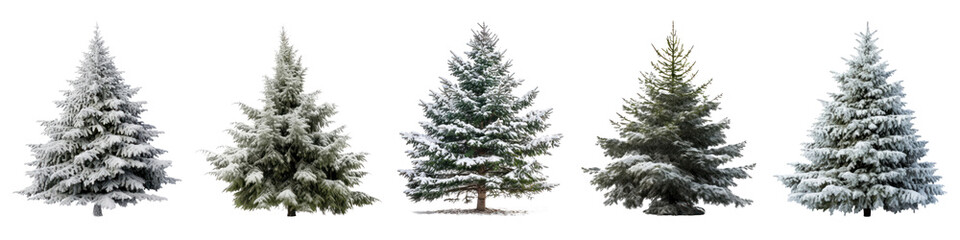 Christmas tree png cut out element set