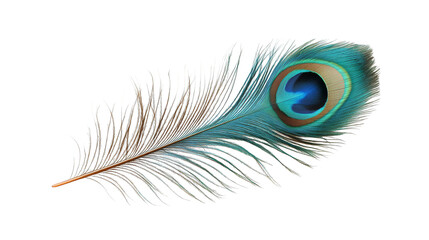 Obraz premium Peacock Feather Abstract Pattern Background