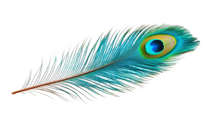 Abstract Peacock Feather with Pixelated Background