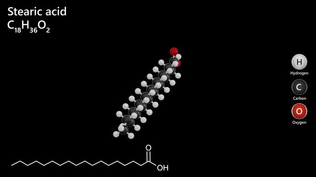 3D structure of the octadecanoic acid molecule C18H36O2. Octadecanoic acid is a C18 straight-chain saturated fatty acid component of many animal and vegetable lipids. It is a waxy solid.
