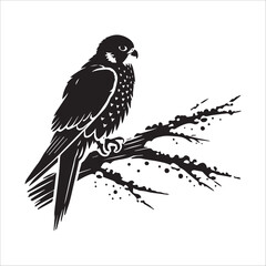 Fototapeta premium Peregrine Falcon Silhouette Design, Peregrine Clipart Graphic, Peregrine Bird vector illustration in black and white