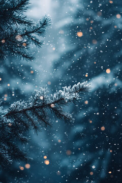 winter landscape with snow covered fir branches on a blurred background