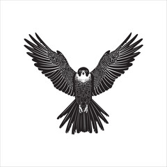 Fototapeta premium Peregrine Falcon Silhouette Design, Peregrine Clipart Graphic, Peregrine Bird vector illustration in black and white