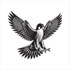 Fototapeta premium Peregrine Falcon Silhouette Design, Peregrine Clipart Graphic, Peregrine Bird vector illustration in black and white