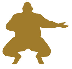 SUMO-107