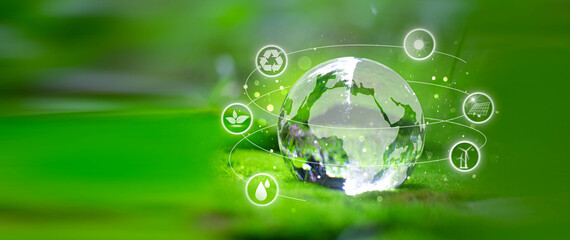 Crystal globe with sustainable development. Business cooperation for World sustainable environment social governance concept. Renewable and sustainable energy sources.