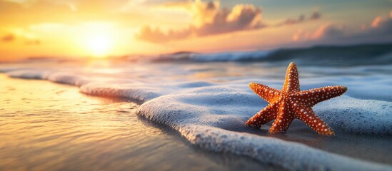 Fototapeta na wymiar Starfish on a tropical beach ocean waves during a warm sunset Ideas related to travel vacations and holidays. with copy space image. Place for adding text or design