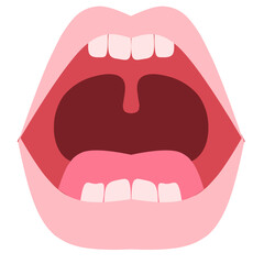 Baby teeth Illustration. Baby teething. Primary tooth development. Baby teeth chart.