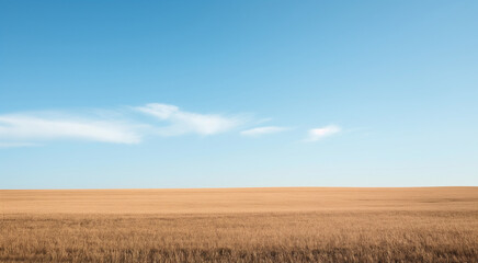 Obraz premium empty field under clear blue sky
