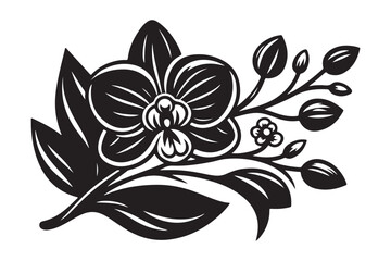 Black silhouette of orchid flowers, Vector illustration