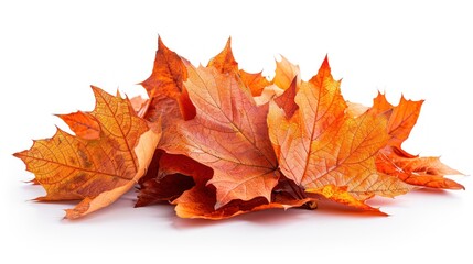 Autumn leaves create a vibrant display of orange and yellow hues collected during a crisp fall day. Generative AI