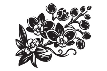 Artistic Orchid Flower Silhouette Vector Design in Black