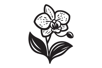 Classic Black Orchid Silhouette Vector Art