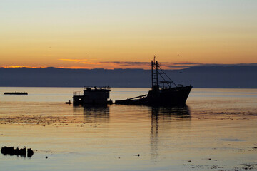 a sunken ship on a beach at sunset