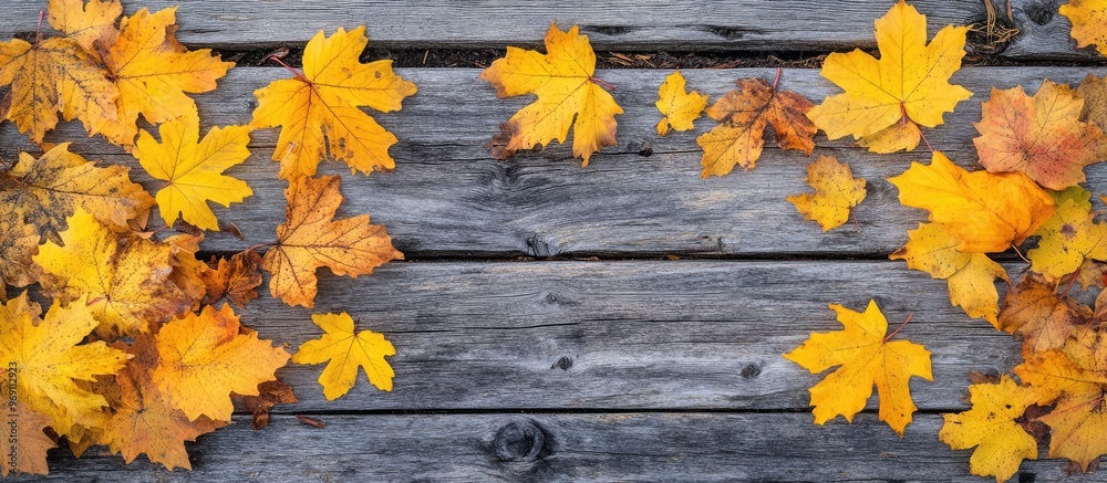 Poster autumn background featuring yellow maple leaves on a rustic wood surface with copy space