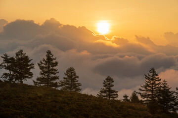 甘利山から雲の上に昇る日の出