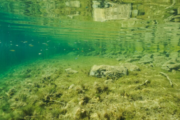Underwater photo, clear water at the quarry of Lake Rummu.