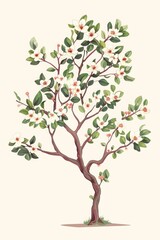 Hawthorn Tree flower tree illustrated.