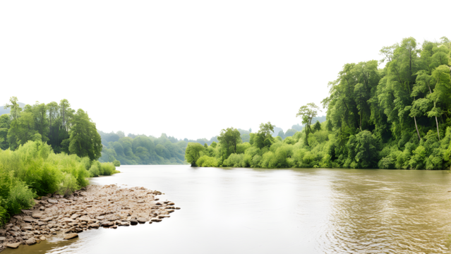 Riverbank Scenic Landscape Isolated on Transparent Background
