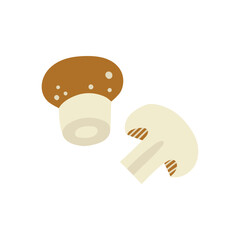 Mushroom hand drawn flat vector illustration. Fresh champignon vegetable print for kitchen, menu, food package design. Healthy cute organic product.