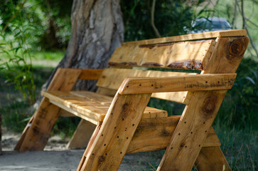 Naklejka premium Wooden bench in a garden park on a sunny afternoon. Relax place. Nature tourism. object wooden