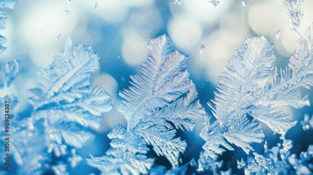 Canvas Prints Close-up of intricate ice crystals with a soft blue background.