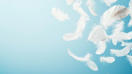Soft Feather Drifting in Serene Atmosphere