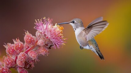 Fototapeta premium A hummingbird hovering near a vibrant flower, showcasing nature's beauty and pollination.