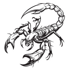 Scorpion Drawing Images vector. Illustration of a Scorpions
