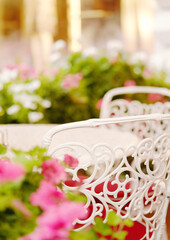 Beautiful street flowers near the cafe. Soft focus