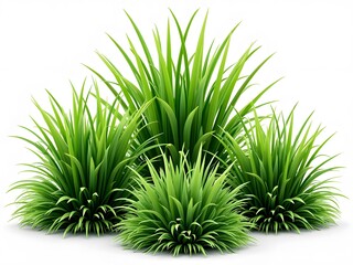 Fototapeta premium Vibrant Green Grass Clumps on a White Background